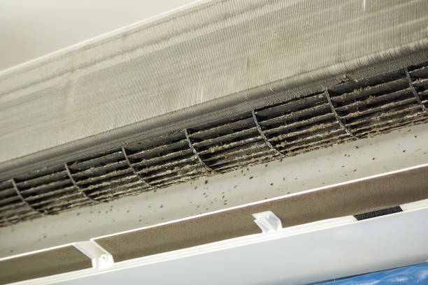 Best Ductwork Cleaning Services  in Polson, MT
